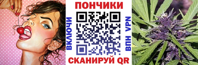 Бошки Шишки план  Суджа 